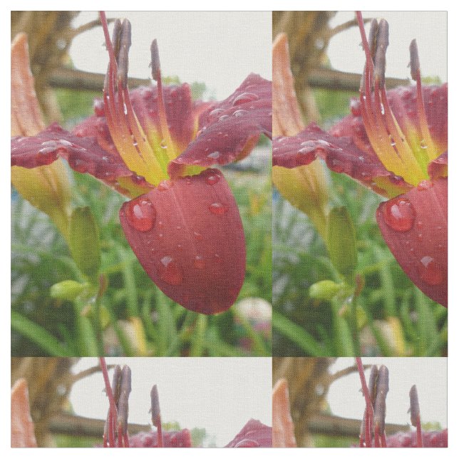 Lily Fabric (Close Up)