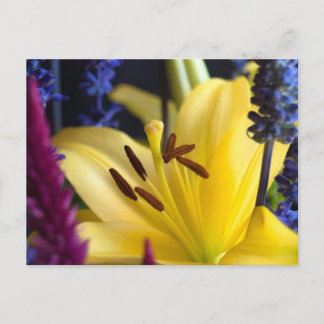 Lily Flower Arrangement Postcard