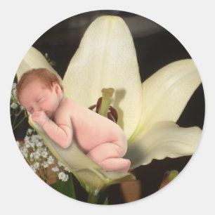 Lily Flower Baby Round Sticker
