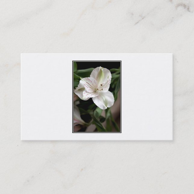 Lily Flower. Business Card (Front)