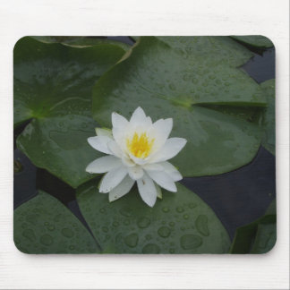 Lily Flower in Lily Pads Mouse Pad