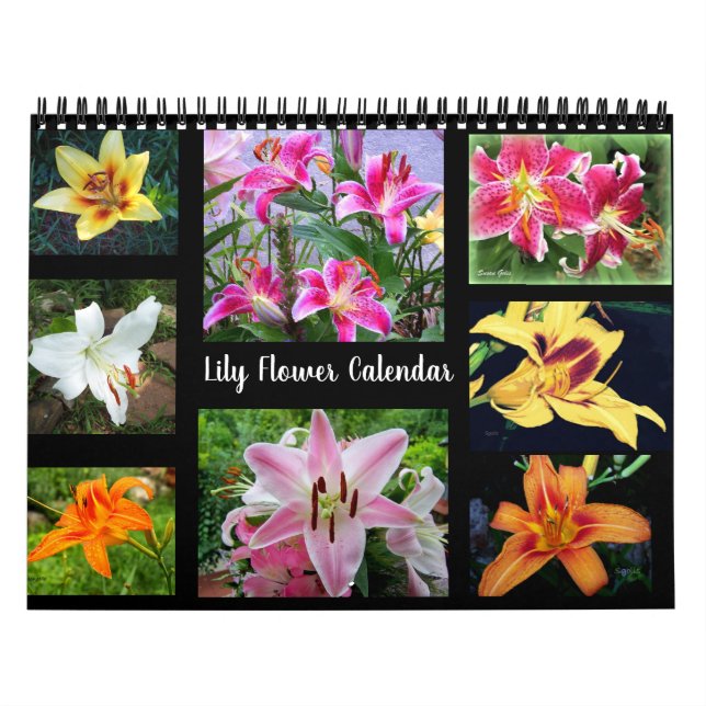 Lily Flower Photography Calendar (Cover)