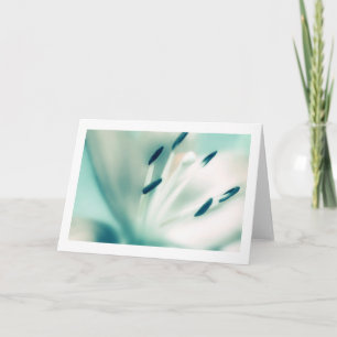 Lily flower photography, Special Occasion Cards