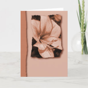 Lily greeting card