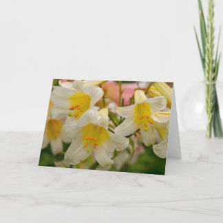 Lily Greeting Card