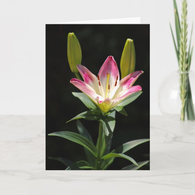 Lily greeting card (Front)