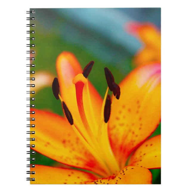 Lily II Notebook (Front)