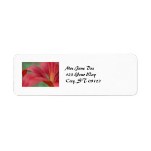 Lily Label Return Address Label