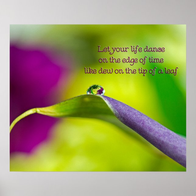 Lily Leaf Poster (Front)