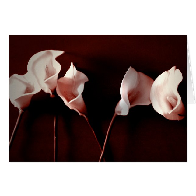 Lily Love (Front Horizontal)