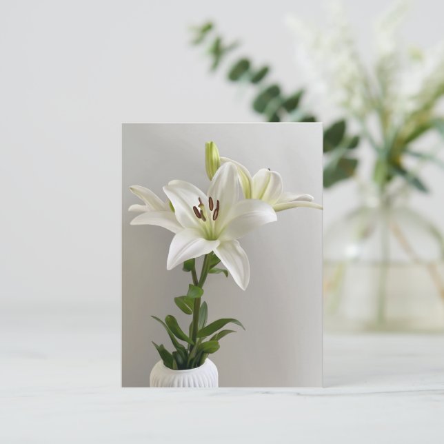 Lily Lullaby | White Simple Floral Painting Postcard (Standing Front)