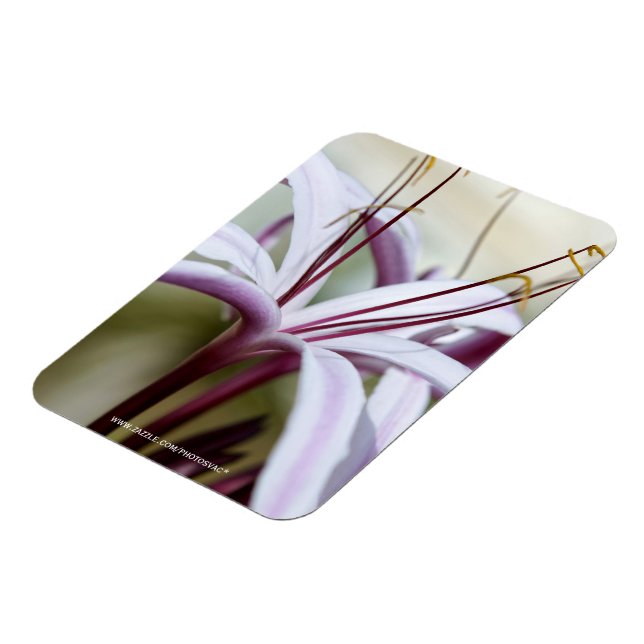 Lily Magnet (Left Side)