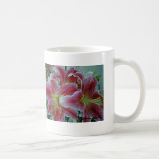 Lily Mug with info