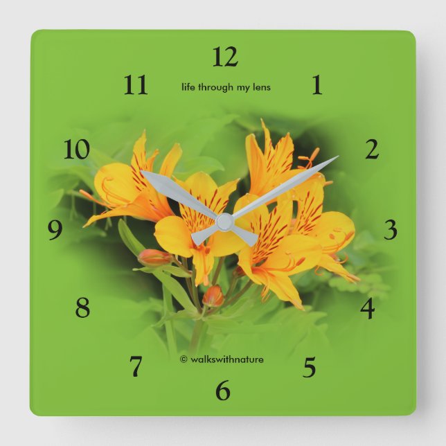 Lily of the Incas / Yellow Alstroemeria Square Wall Clock (Front)