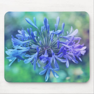 'Lily of the Nile' Mouse Pad