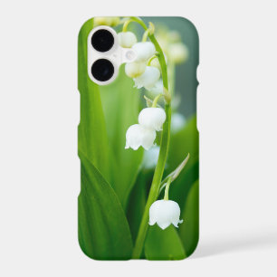 Lily of the Valley