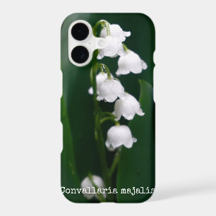 Lily of the Valley Botanical