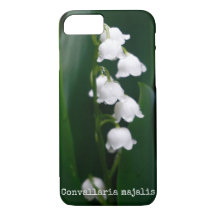 Lily of the Valley Botanical
