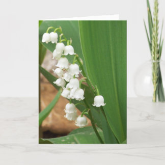 Lily of the Valley Card