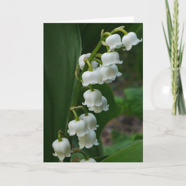 Lily-of-the-Valley Card (Front)