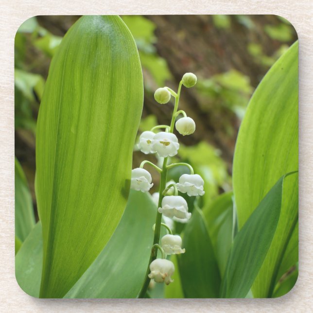 Lily of the Valley Coaster (Front)