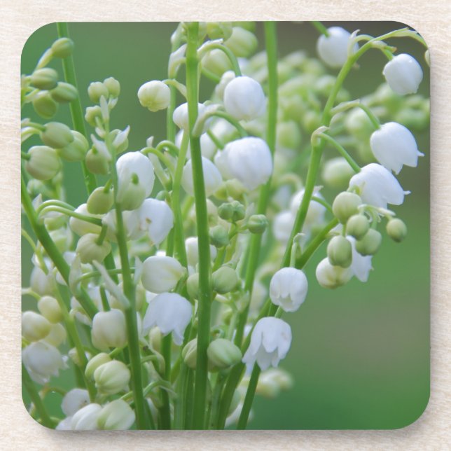 Lily of the valley coaster (Front)