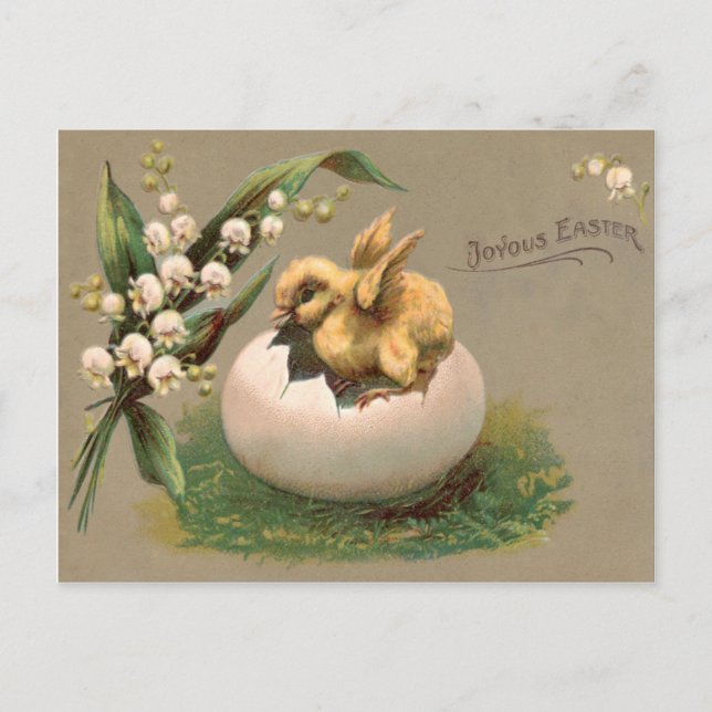 Lily Of The Valley Easter Chick Egg Holiday Postcard (Front)