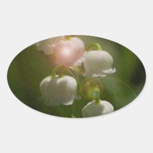 Lily Of The Valley Floral Oval Sticker