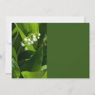 Lily of the valley flower