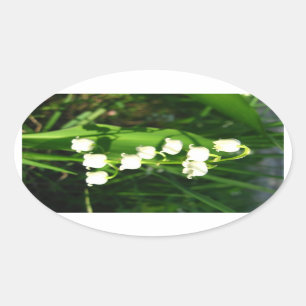 Lily Of The Valley Flowers Oval Sticker