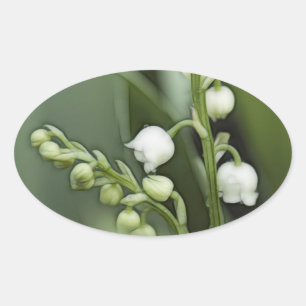 Lily of the Valley Flowers Oval Sticker