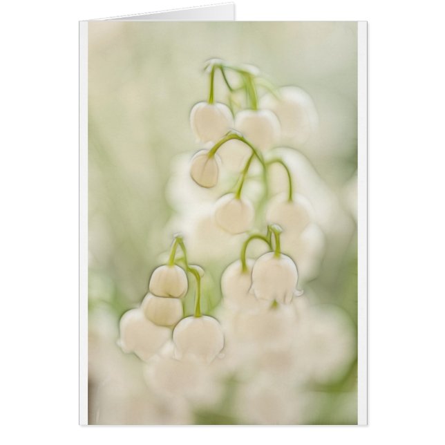 Lily of the Valley Flowers Sketch (Front)