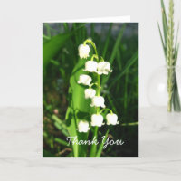 Lily Of The Valley Flowers