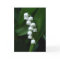 Lily of the Valley greeting card