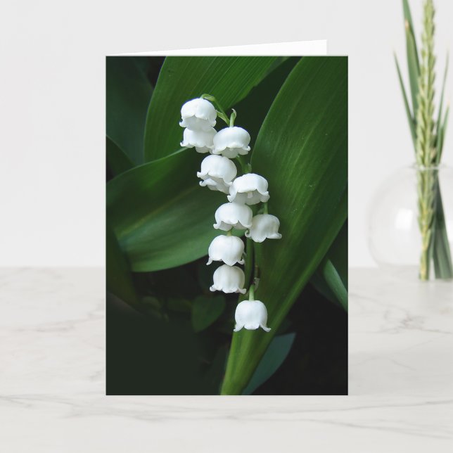 Lily of the Valley greeting card (Front)