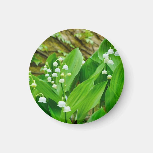 Lily of the Valley Magnet (Front)