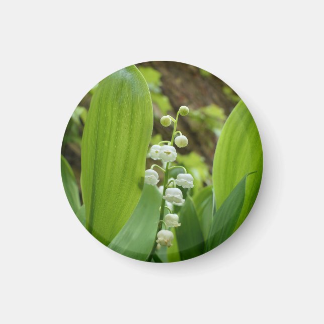 Lily of the Valley Magnet (Front)