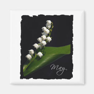 Lily of the Valley - May Magnet