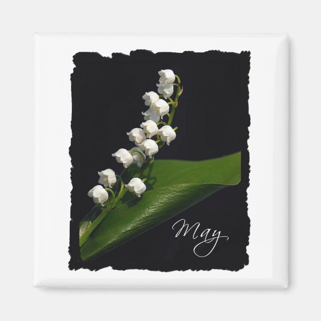 Lily of the Valley - May Magnet (Front)