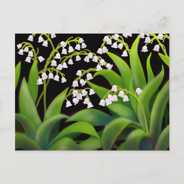 Lily of the Valley Postcard (Front)