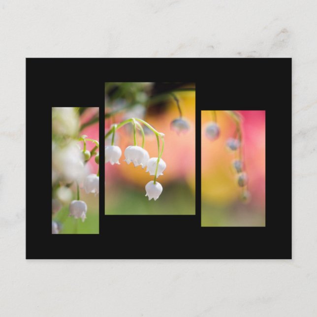 Lily of the valley postcard (Front)