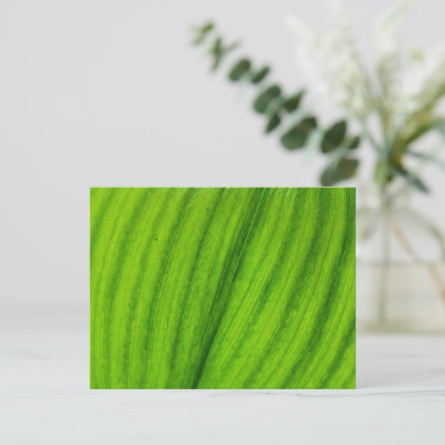 Lily of the Valley Postcard (Standing Front)