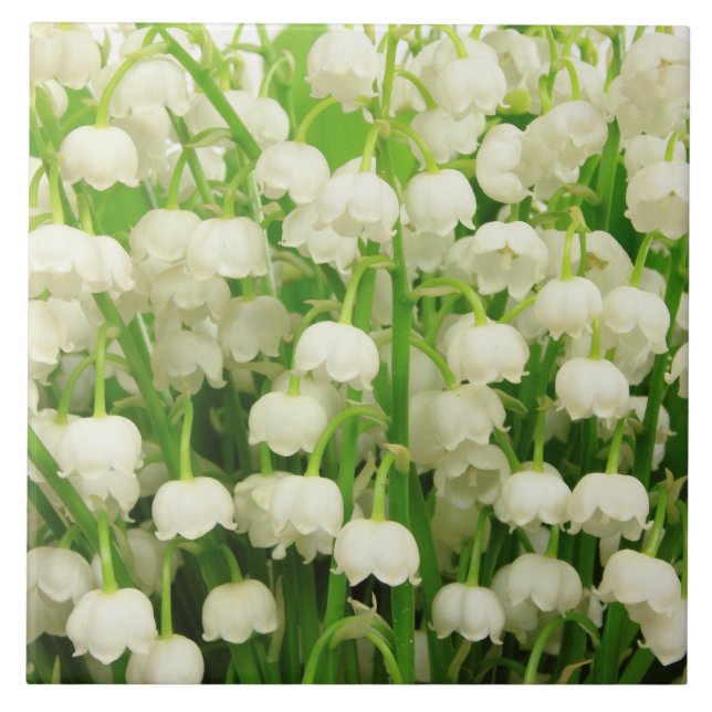 Lily of the Valley Spring Flowers  Ceramic Tile (Front)