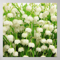 Lily of the Valley Spring Flowers