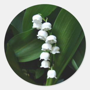 Lily of the Valley sticker