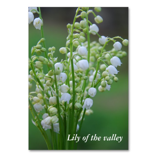 Lily of the valley table number (Front)
