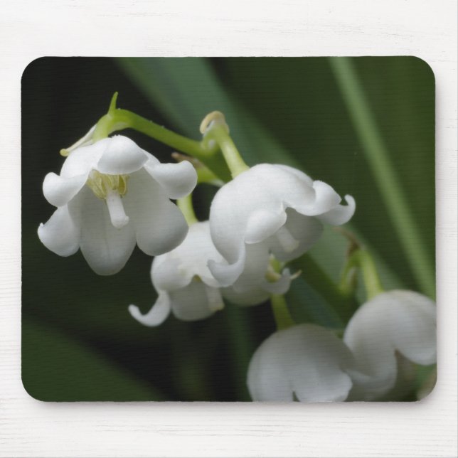Lily of valley mouse pad (Front)
