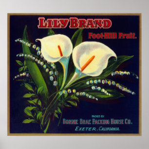 Lily Orange LabelExeter, CA Poster