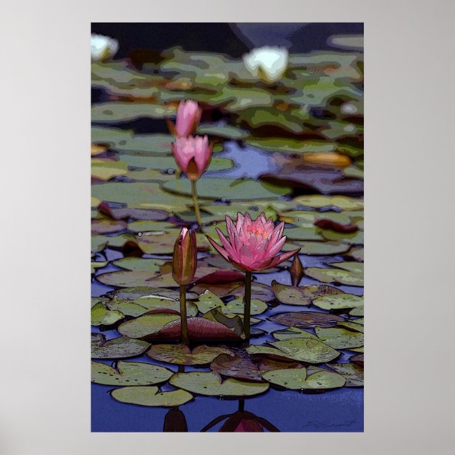 Lily Pad Art Posters -24x36 -other sizes available (Front)