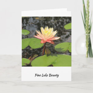 Lily Pad beauty! Card